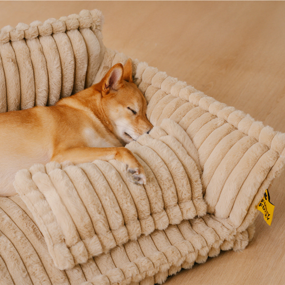 Dog mattress with removable cover, offering superior joint support for pets.