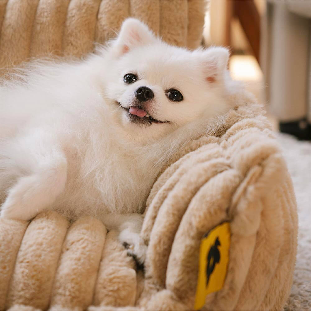 Cozy pet bed providing premium orthopedic joint support for all dog sizes.
