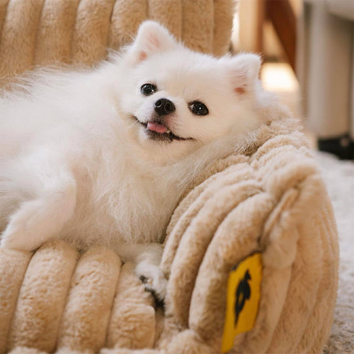 Cozy pet bed providing premium orthopedic joint support for all dog sizes.