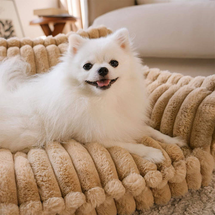 High-quality orthopedic dog bed, designed for pet comfort & joint health.