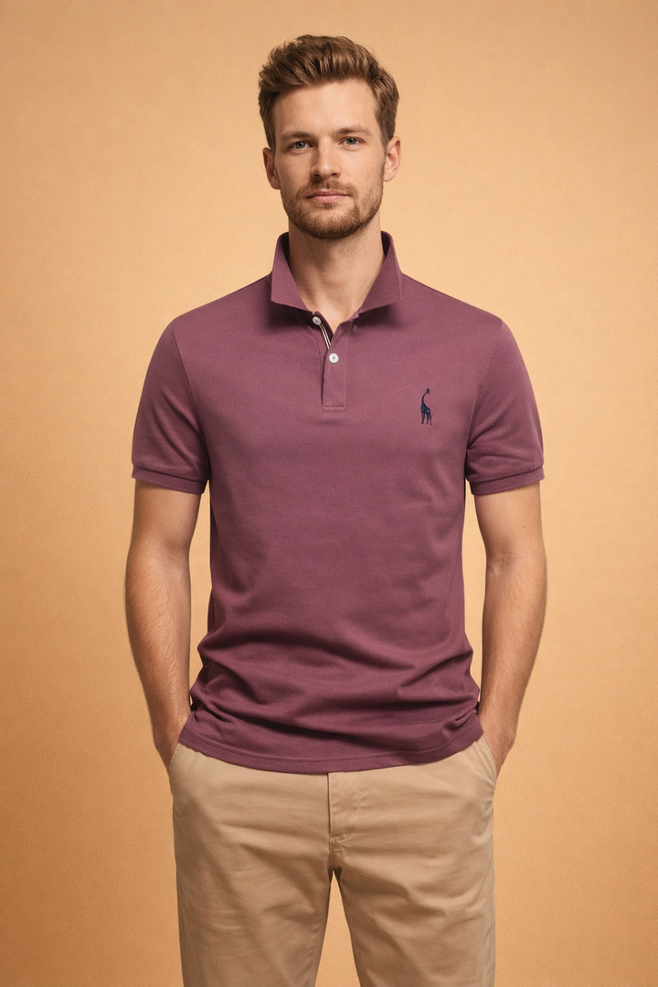 A collection of men's everyday polo shirts in various colors, essential menswear items.