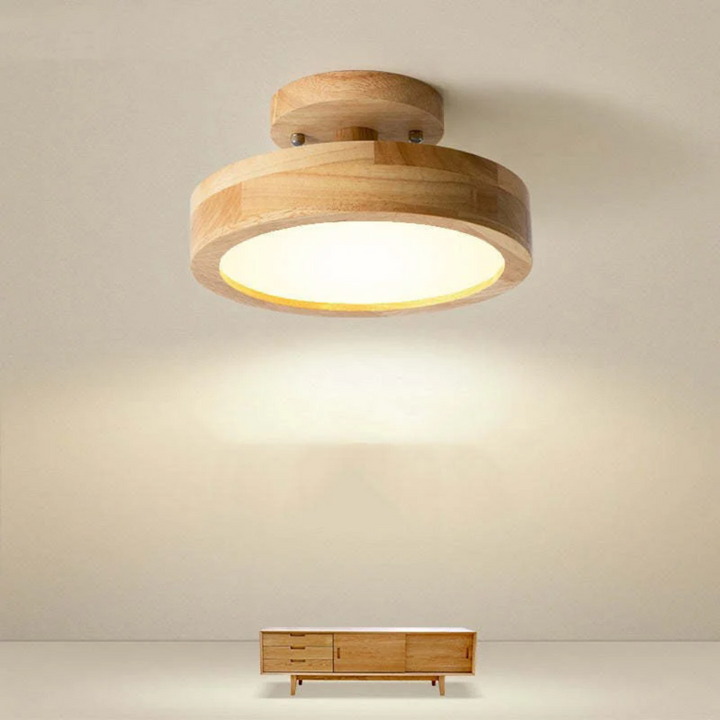 Modern Nova LED round ceiling light, energy-efficient, perfect for versatile indoor lighting & ambiance.