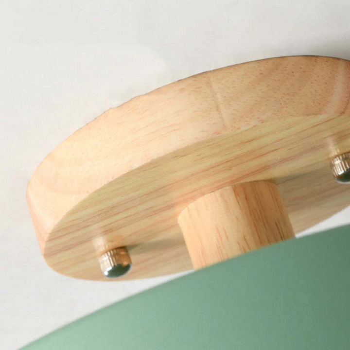 Energy-efficient Nova round LED ceiling light, 3-color adjustable, perfect for modern indoor lighting.