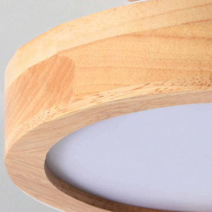 Sleek Nova modern round LED ceiling light, 3-color, enhances dining room & general home decor.