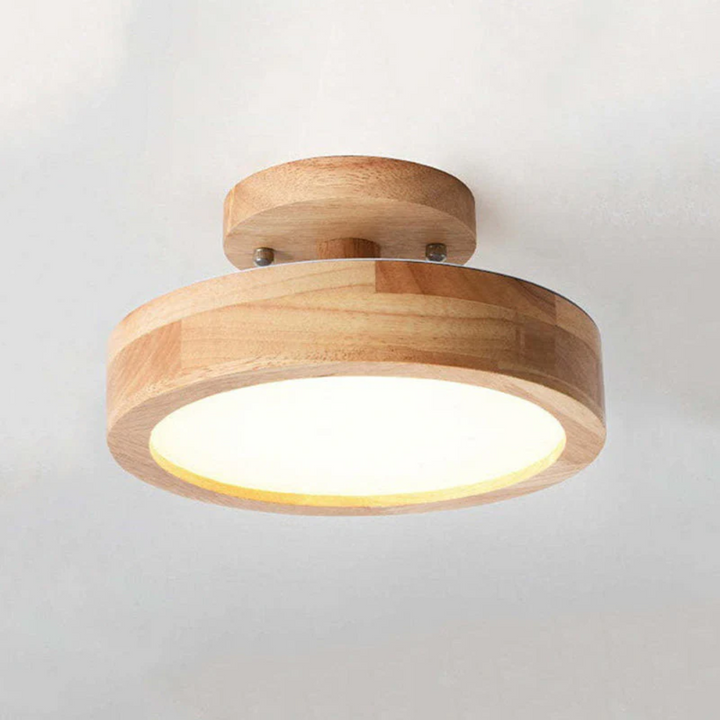 Stylish Nova round LED ceiling light, modern, offers adjustable 3-color ambiance for any room.