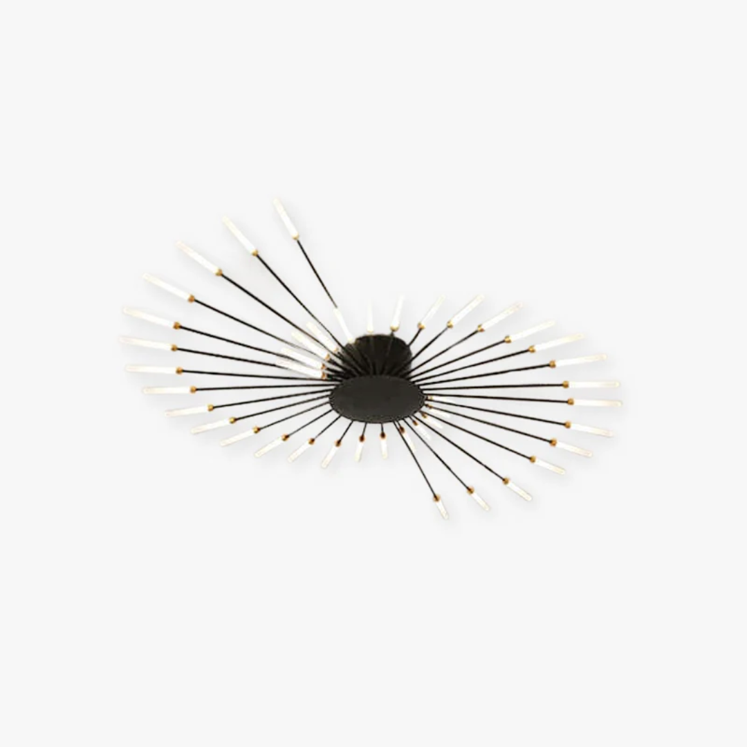 Contemporary black LED ceiling lamp, bright, energy-saving, ideal for modern home decor.