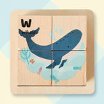 Ocean animals
