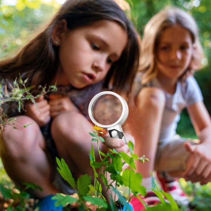 Clear lens LED magnifier for detailed reading. Essential low vision and senior assist device.