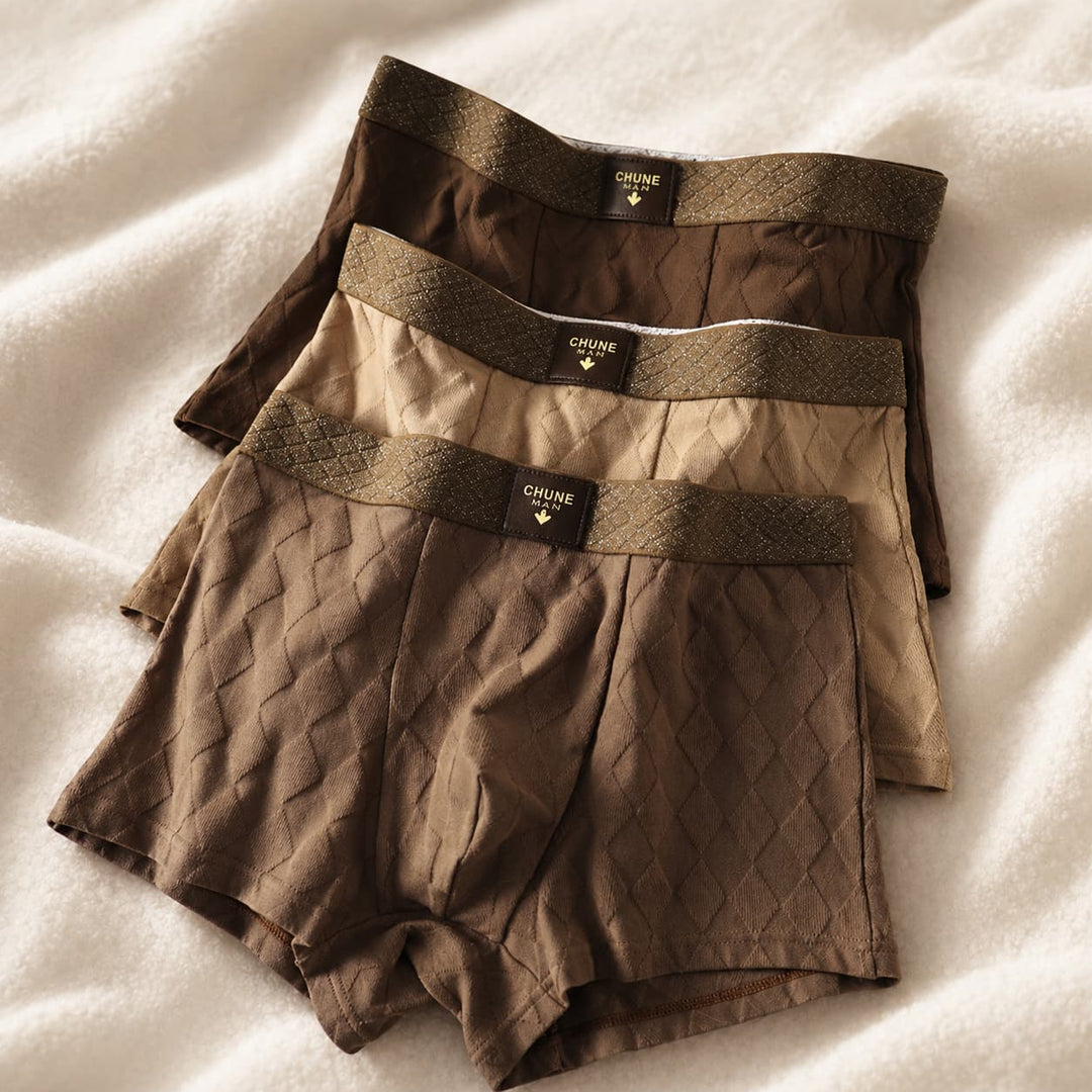 Men's multi-pack comfort boxer briefs, soft everyday essentials for secure support & daily wear.