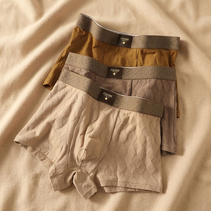 Premium men's boxer briefs with comfort fit, offering secure support & quality for daily undergarments.