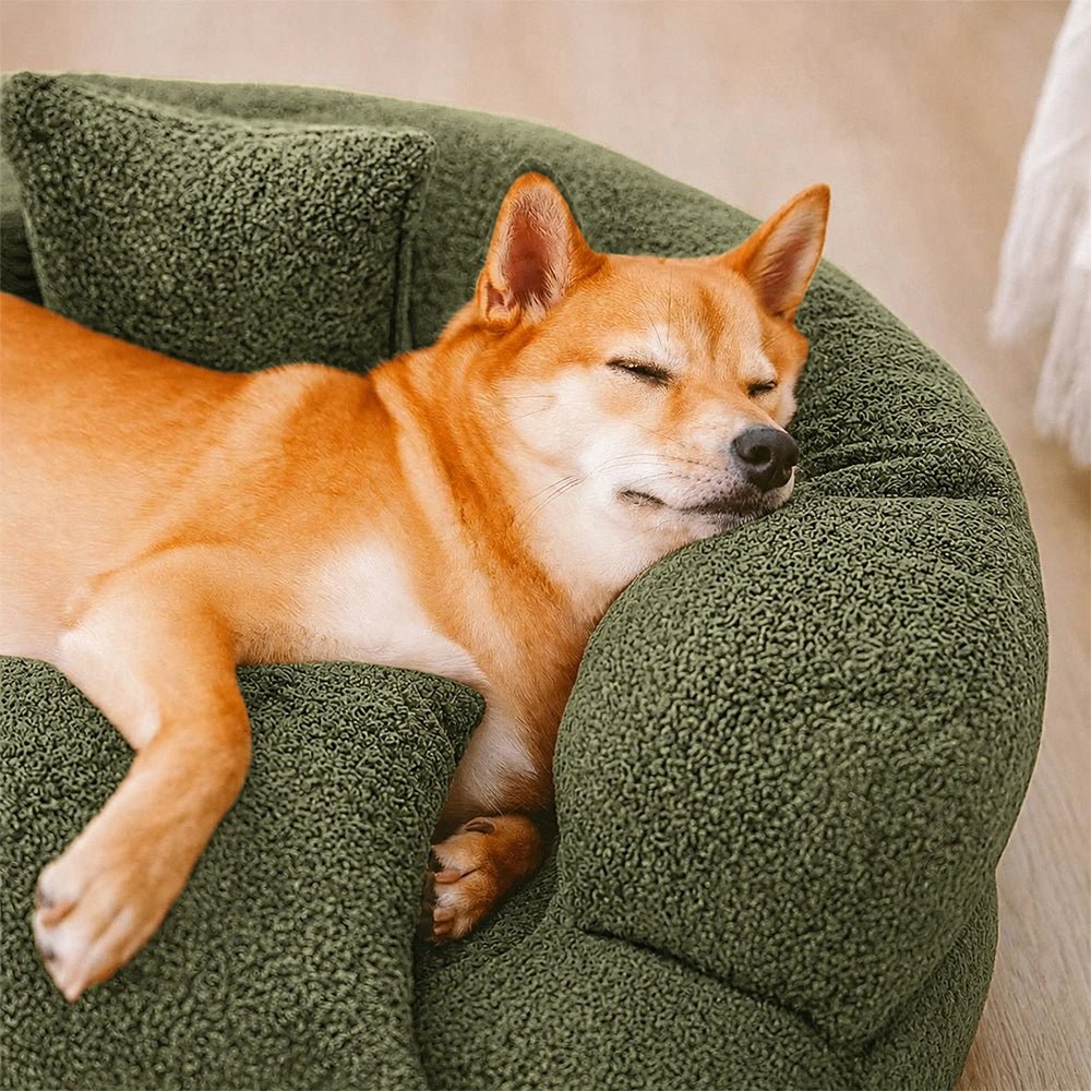 Diamond velvet orthopedic donut dog bed offers luxurious comfort and essential joint support for pets.