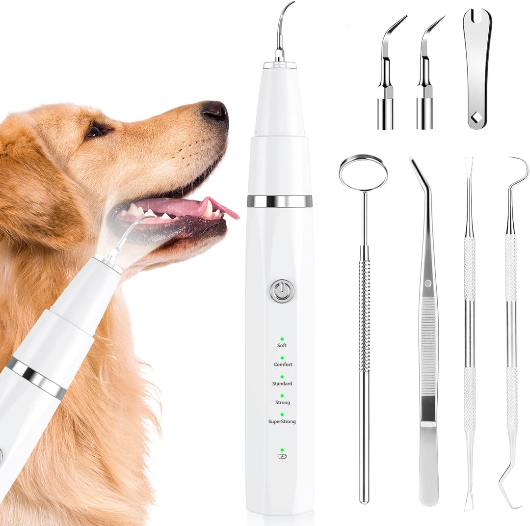 Close-up of pet ultrasonic cleaner tip on a dog's tooth, showing gentle plaque & tartar removal.