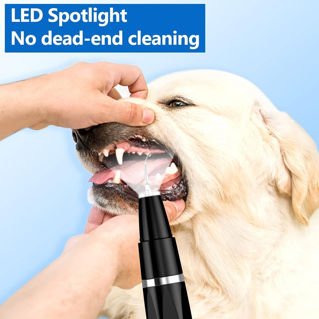 Healthy pet teeth after using ultrasonic cleaner for plaque & tartar; essential for dog & cat oral hygiene.