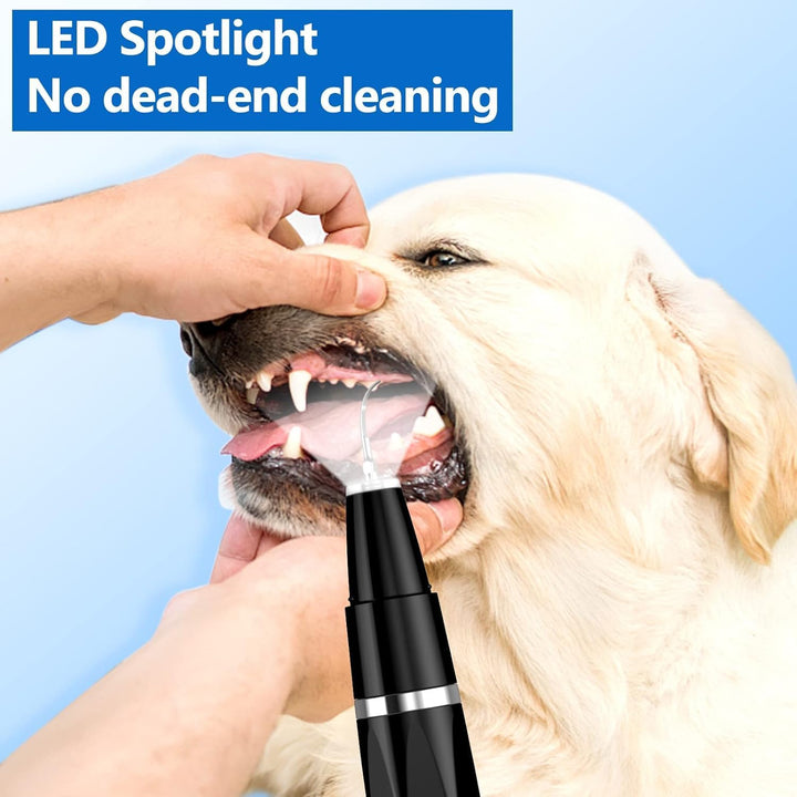 Healthy pet teeth after using ultrasonic cleaner for plaque & tartar; essential for dog & cat oral hygiene.