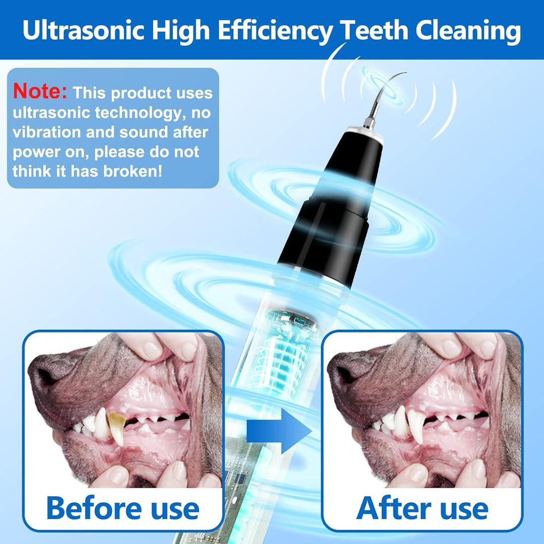 Dog happily getting teeth cleaned with gentle pet ultrasonic plaque & tartar remover for fresh breath.