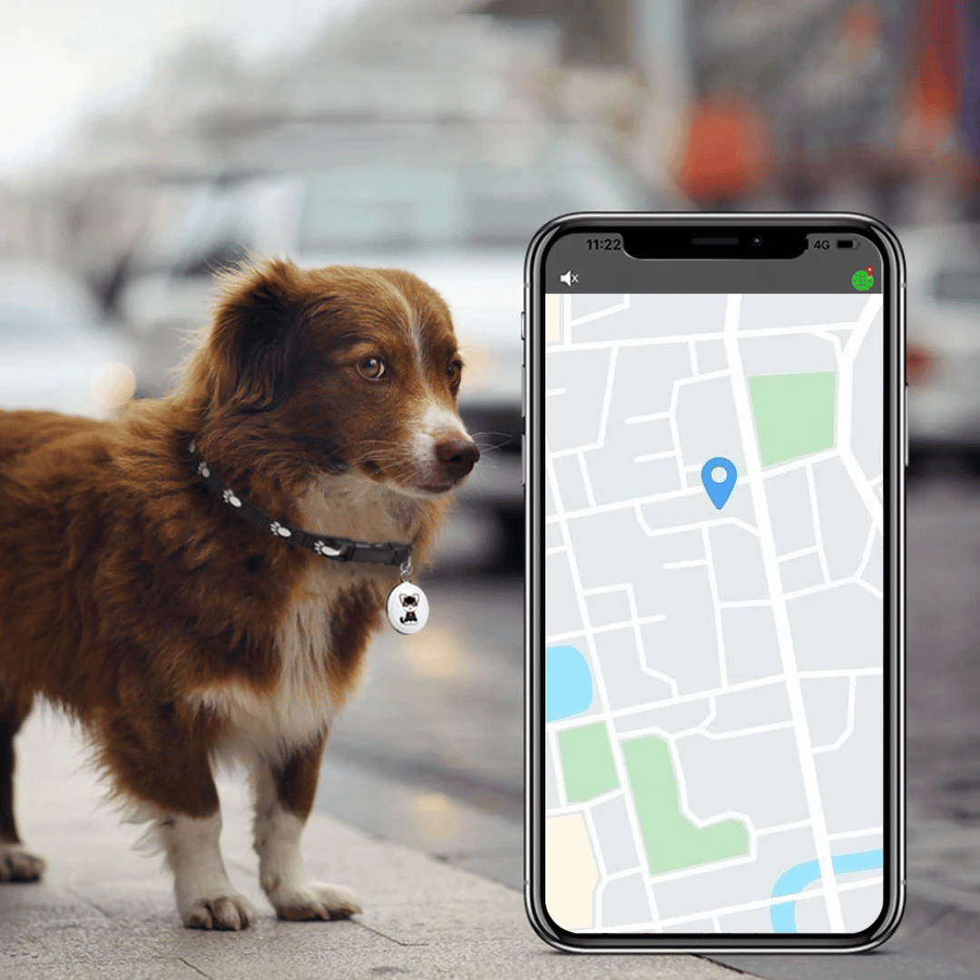 Smartphone screen showing the real-time GPS tracking app for a pet, displaying location history for dogs & cats.