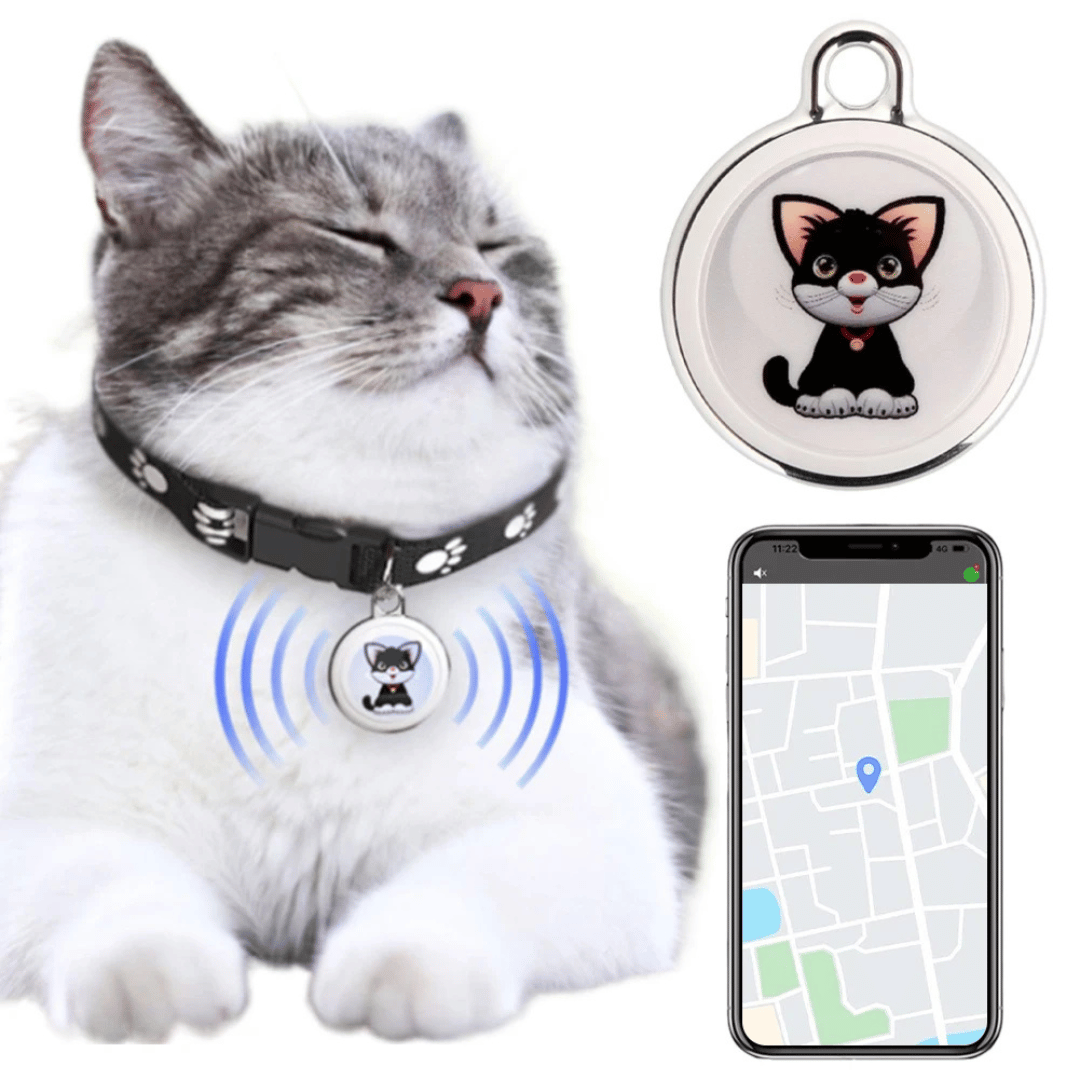 Compact black pet GPS tracker attached to a collar, ensuring real-time safety for dogs and cats.
