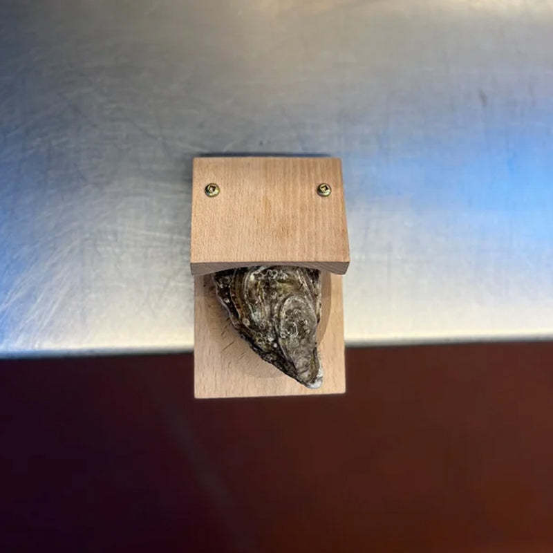 Premium oyster shucker with a durable stainless steel blade and comfortable wood handle, a reliable kitchen tool.