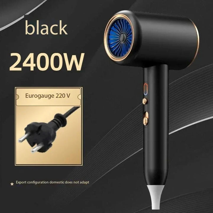 Salon-grade ionic hair dryer, 2400W, ensures fast drying, frizz control, & beautiful hair.