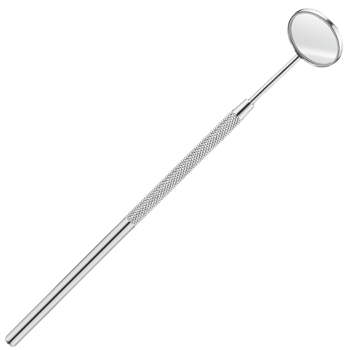 Essential stainless steel dental explorer & plaque remover for comprehensive home dental care.
