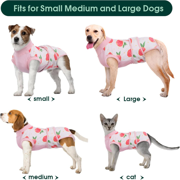 Veterinary approved pet recovery suit for dogs & cats. Aids post-surgery care & wound management.