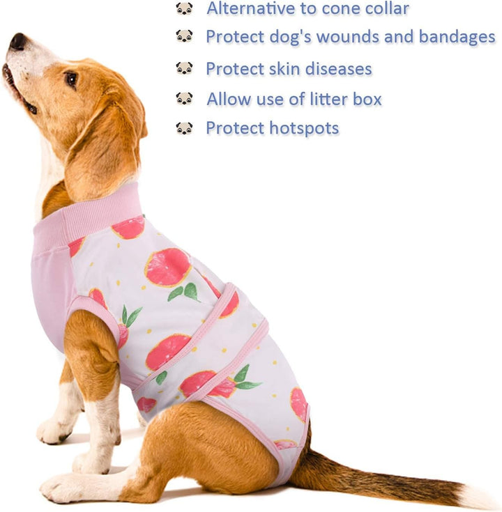 Pet wound protection suit. Helps dogs & cats heal comfortably after surgery or injury.