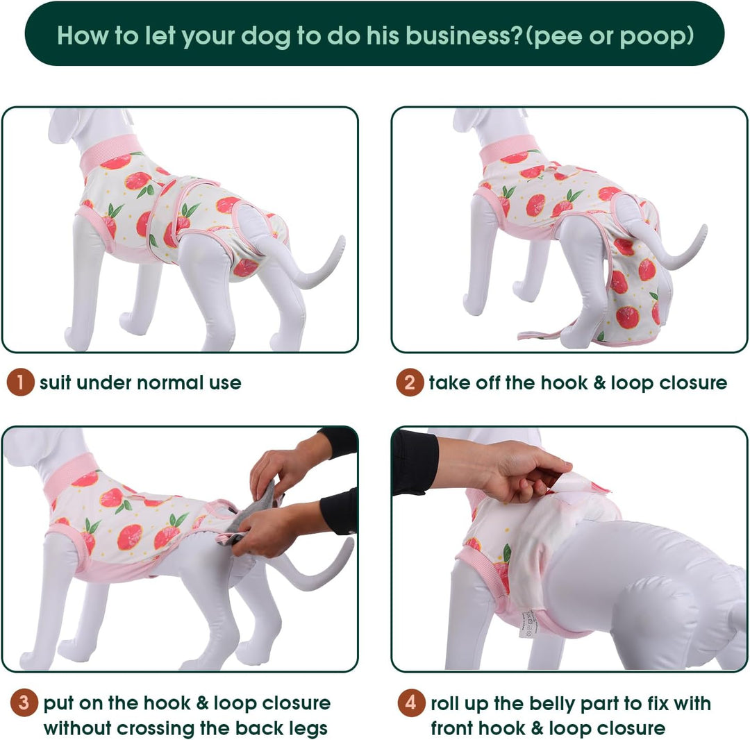 Gentle pet recovery suit for post-op care. Ensures animal comfort & effective surgical site protection.
