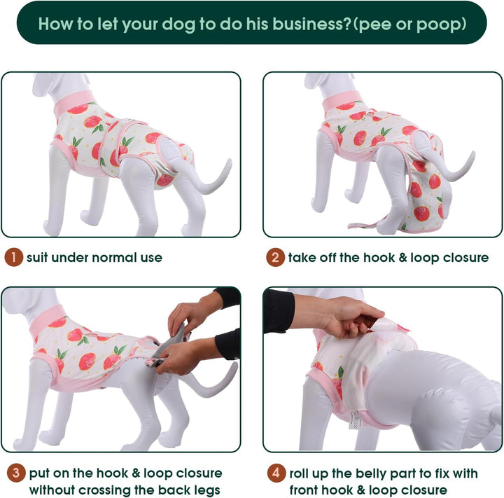 Gentle pet recovery suit for post-op care. Ensures animal comfort & effective surgical site protection.