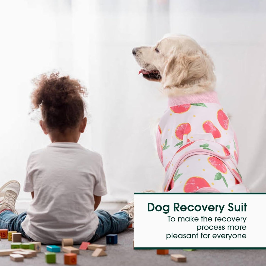 Post-surgery dog & cat healing suit. Offers full coverage & stress-free recovery. Pet health solution.