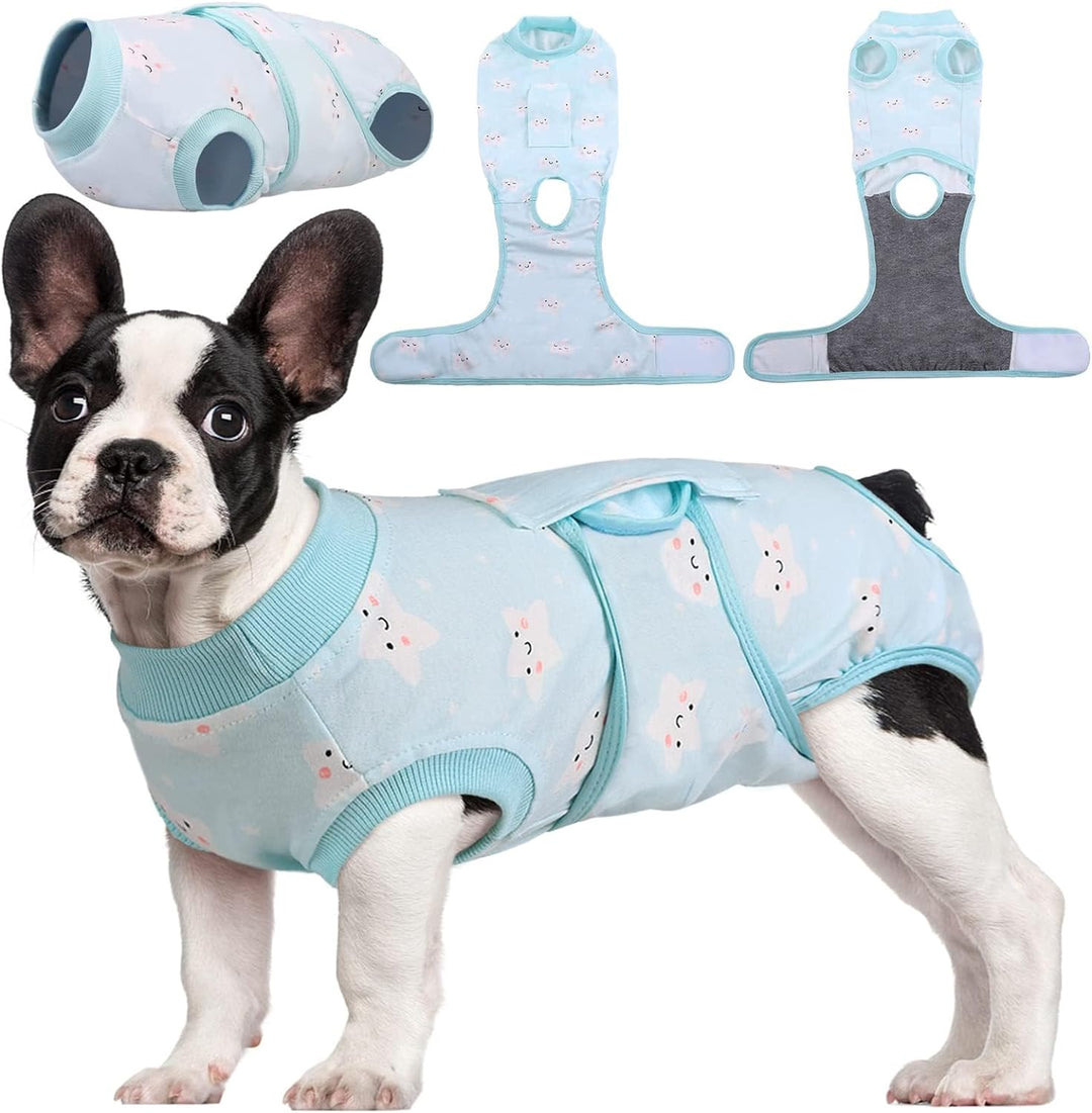 Dog recovery suit to prevent licking & scratching wounds. Essential post-operative pet health & comfort.