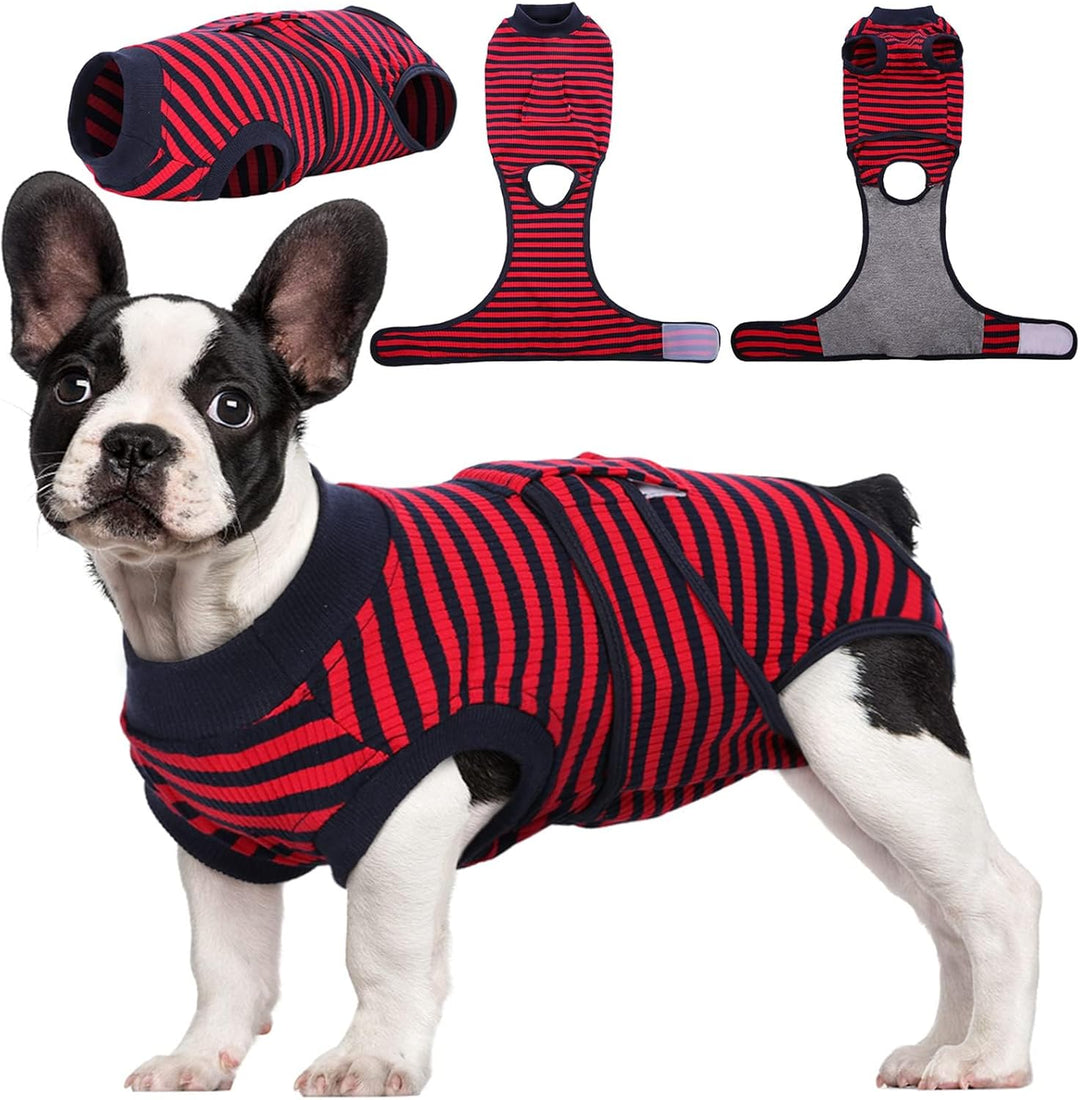 Cat post-surgery recovery suit. Provides secure wound protection & promotes faster healing. Gentle pet care.