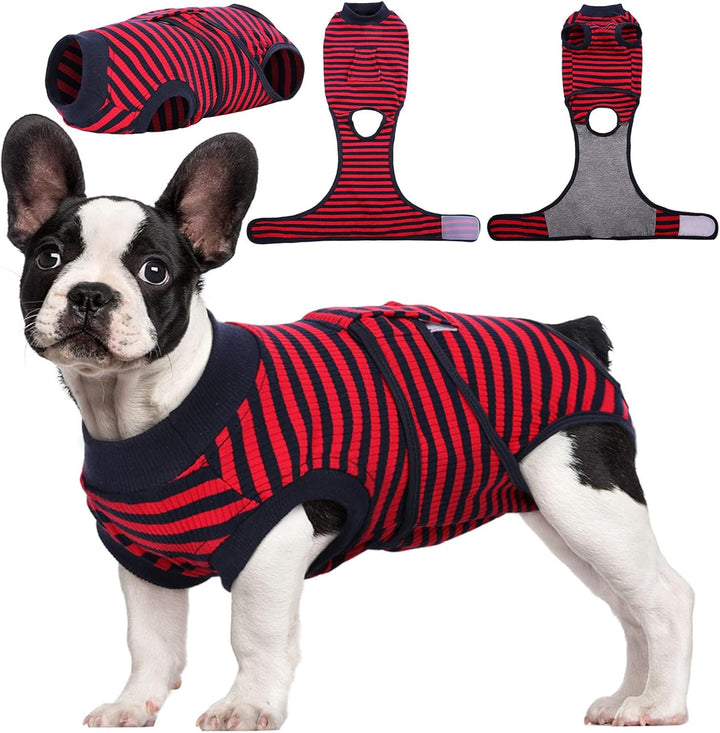 Cat post-surgery recovery suit. Provides secure wound protection & promotes faster healing. Gentle pet care.