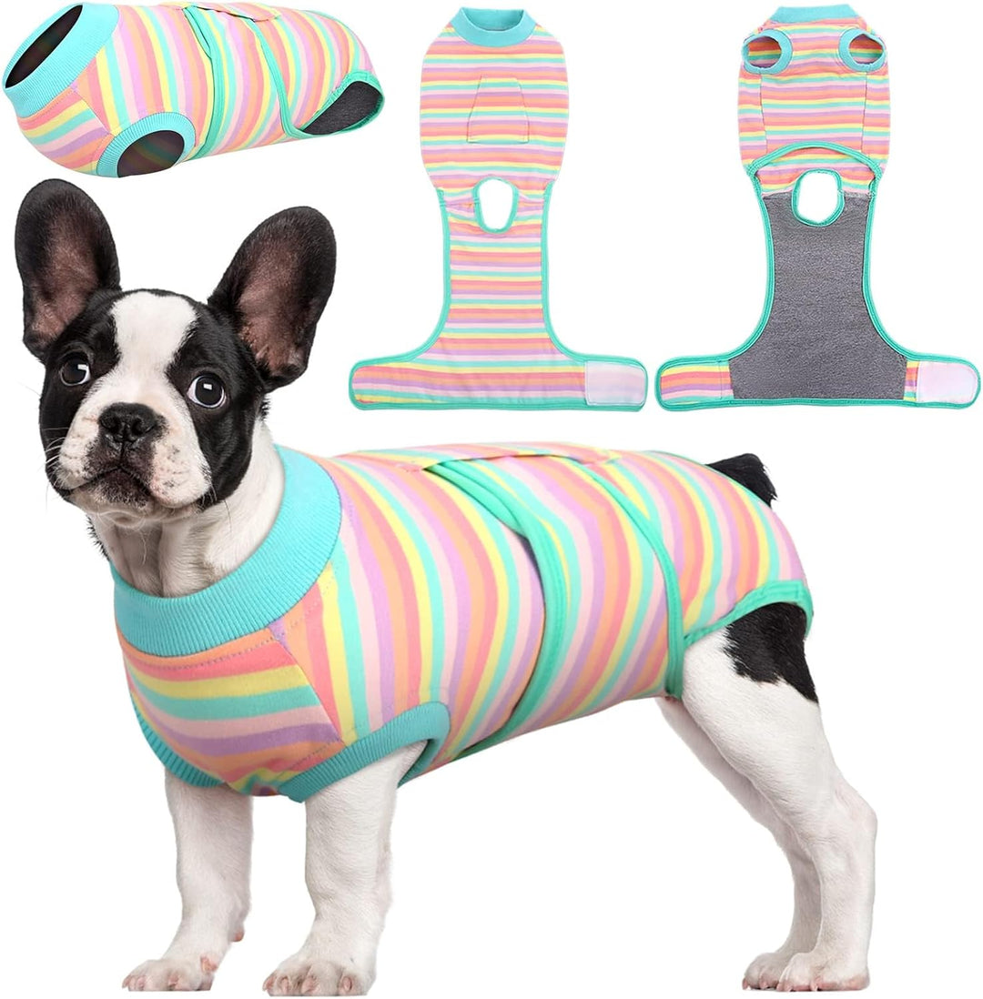 Breathable pet healing suit for dogs & cats. Ensures comfort & safety during surgical recovery.