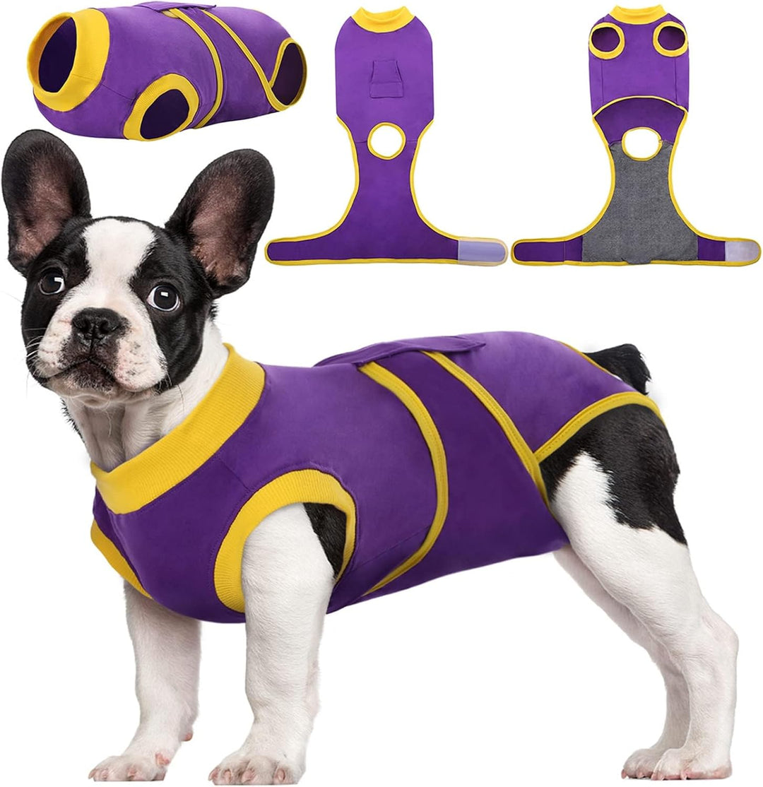 Alternative to cone: Pet recovery suit for post-surgery comfort. Dog & cat wound protection.