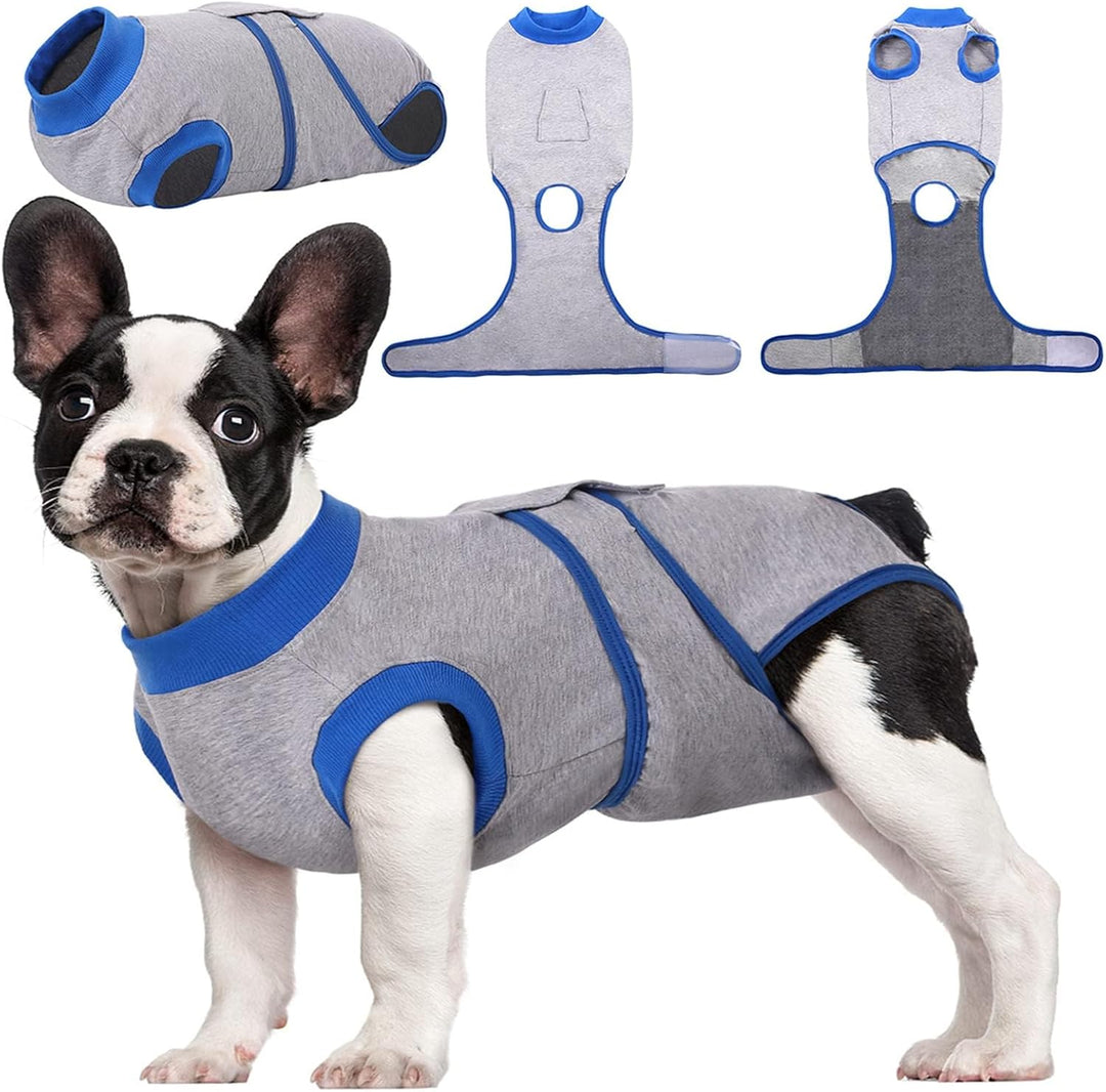 Pet surgical recovery suit. Full-body protection for dogs & cats. Reduces stress & promotes healing.