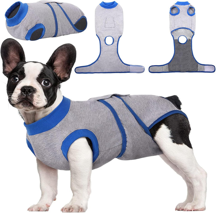 Pet surgical recovery suit. Full-body protection for dogs & cats. Reduces stress & promotes healing.
