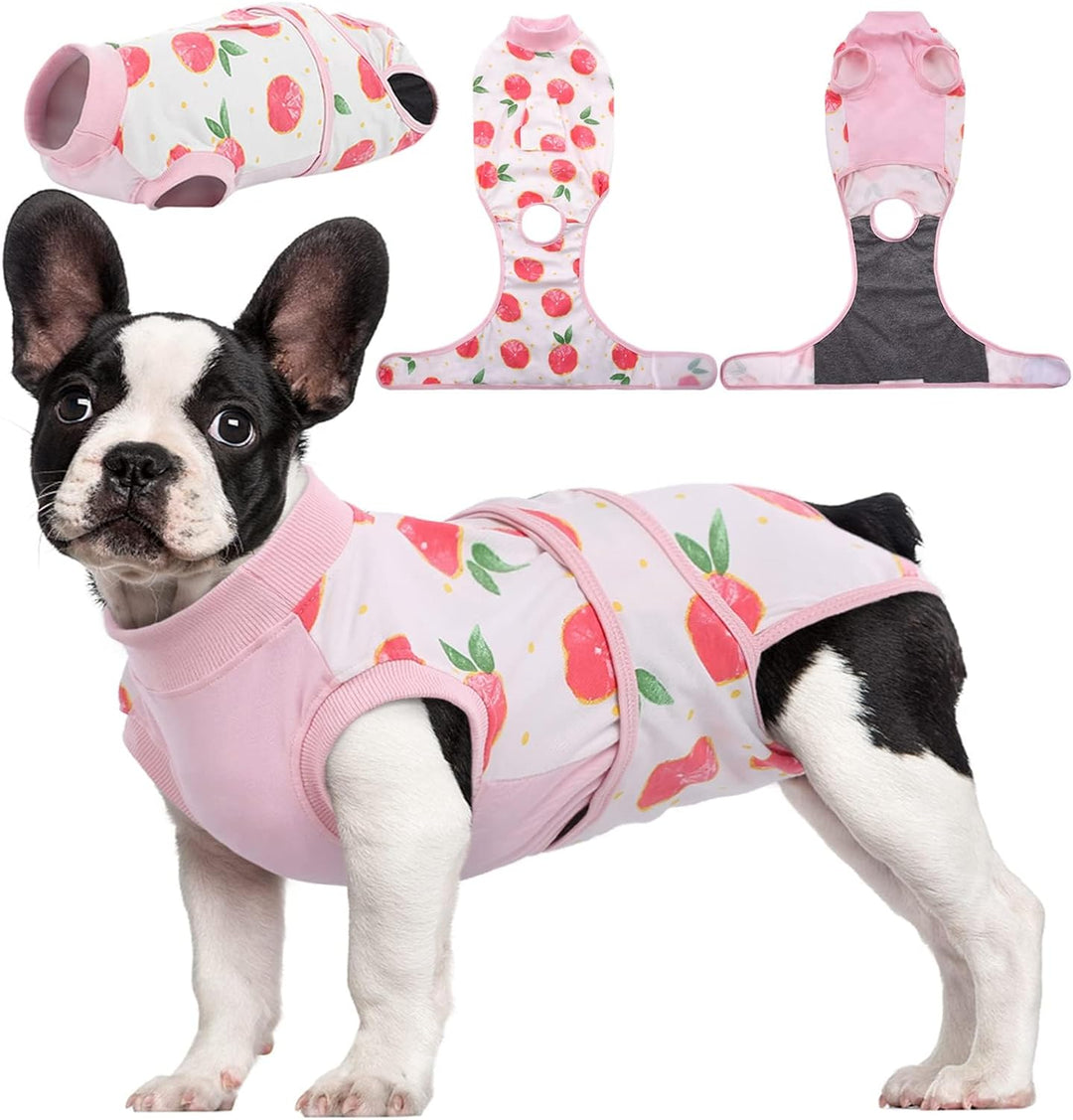 Soft pet recovery suit for dogs & cats. Aids post-surgery healing & wound protection. Comfortable animal care.