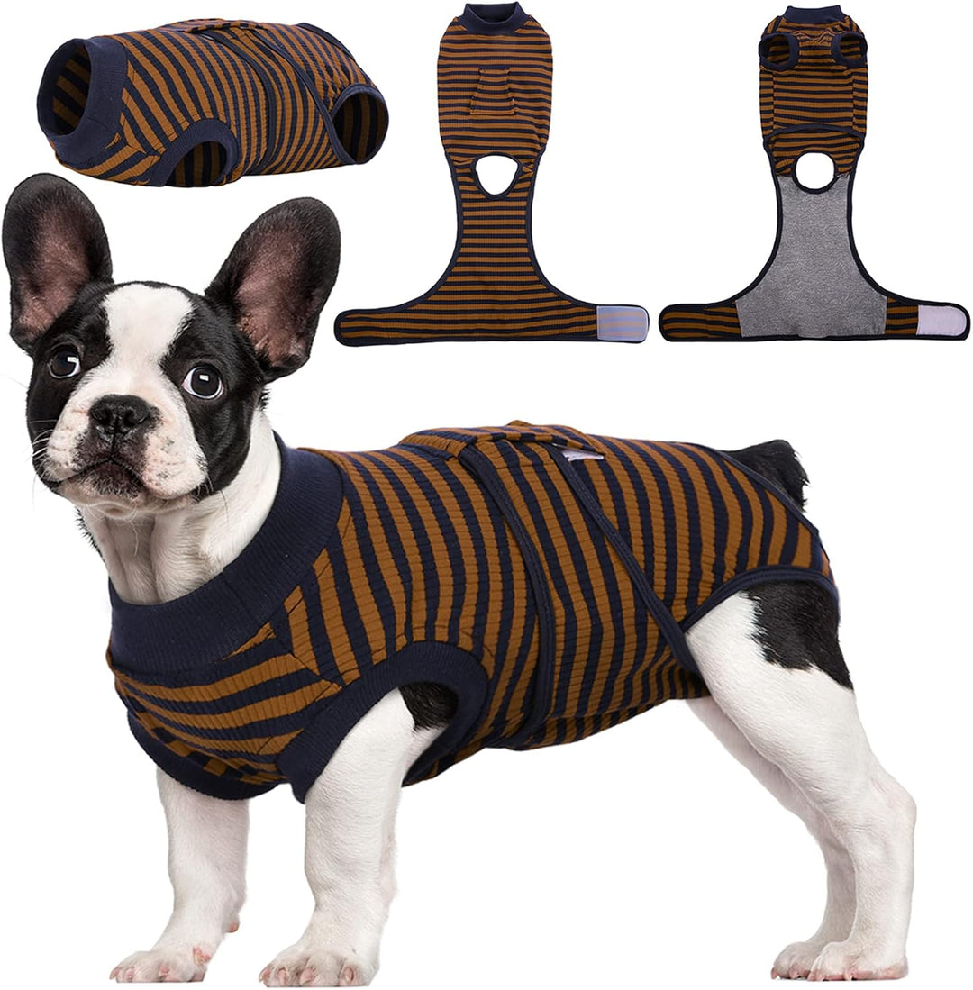 Secure pet recovery suit for dogs. Essential post-op care, preventing access to surgical sites.