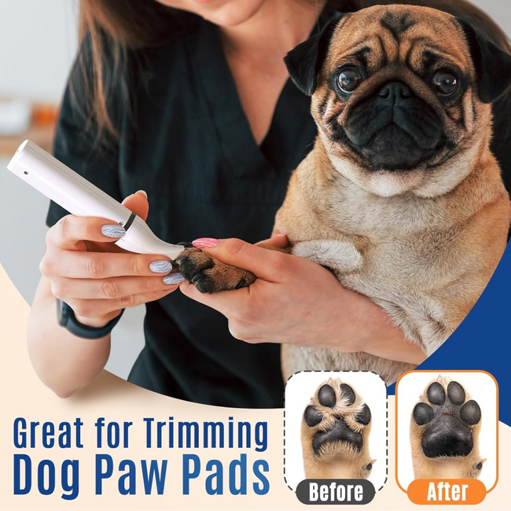 Close-up of the dual blade on the quiet cordless pet grooming clipper.