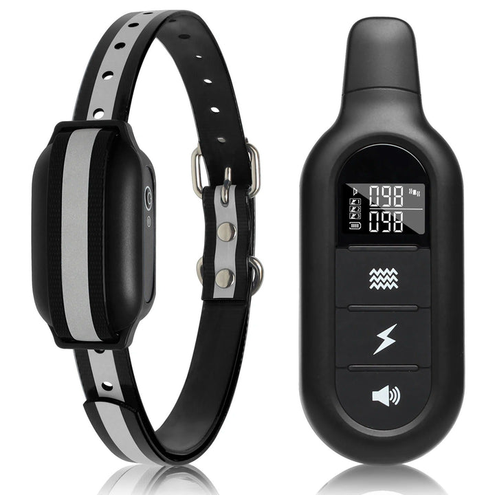 Dog's rechargeable waterproof remote training collar for effective behavior correction and canine training.