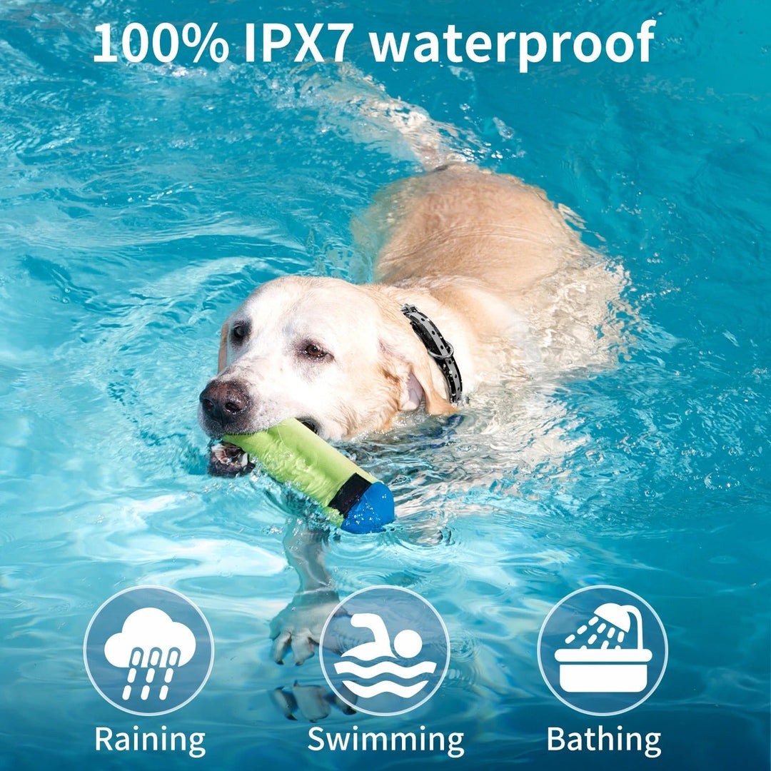 Electronic dog training collar, remote controlled, with waterproof & rechargeable design for all dogs.