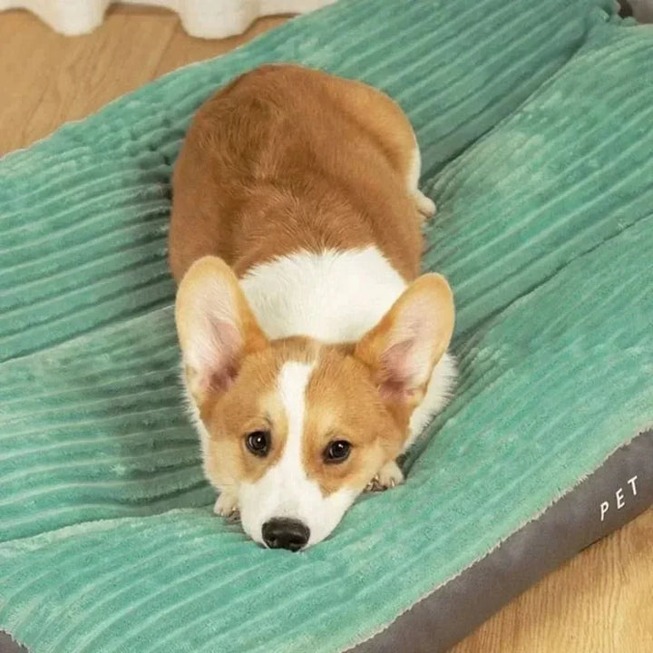 Washable & non-slip light green plush orthopedic dog bed, perfect for medium to extra-large pets.