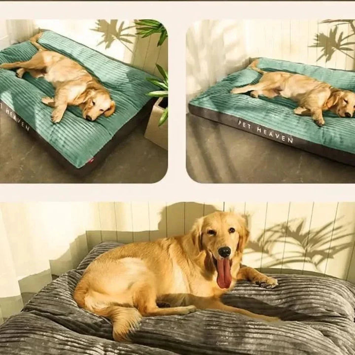Cozy light green orthopedic pet bed for senior dogs, providing plush comfort & excellent joint support.