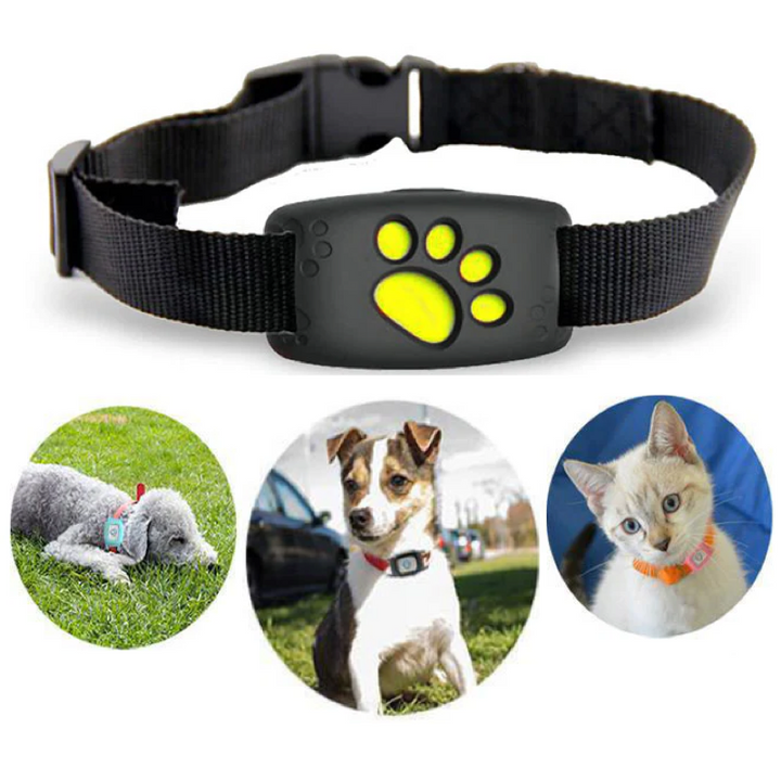 Smart GPS pet collar for real-time dog & cat tracking. Ensures pet safety with geo-fence alerts.