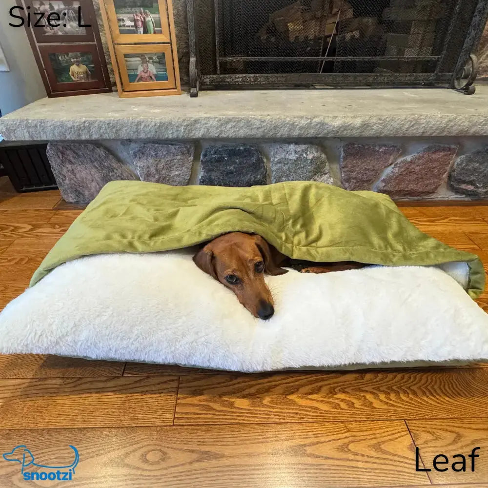 Washable Snootzi CuddleNest soft dog bed. Cozy pet lounger & burrow bed, perfect pet accessory for comfort.