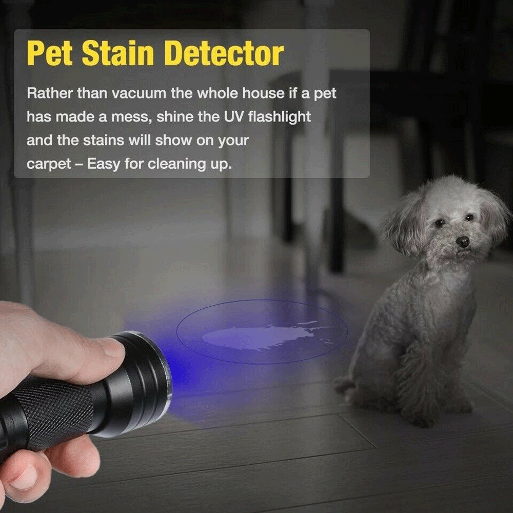 Compact blacklight UV flashlight, effective for invisible ink detection and currency verification.