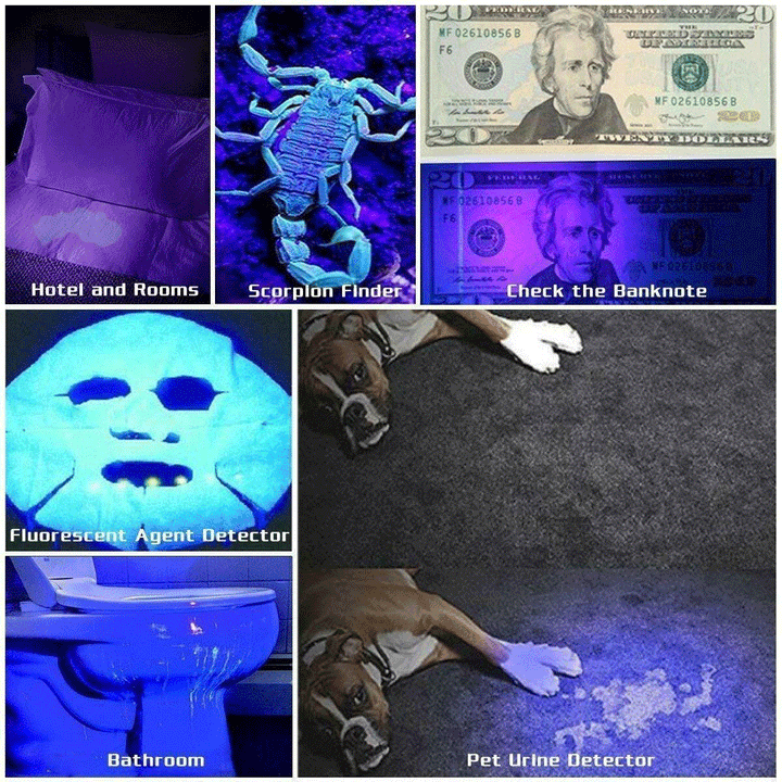 Handheld UV LED flashlight, designed as a pet stain detector and scorpion light.