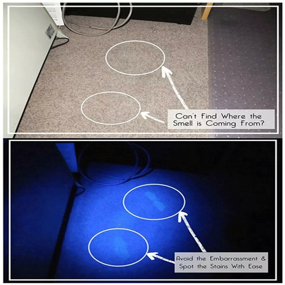 Bright UV LED flashlight, a versatile inspection tool for currency, pet stains, and scorpions.