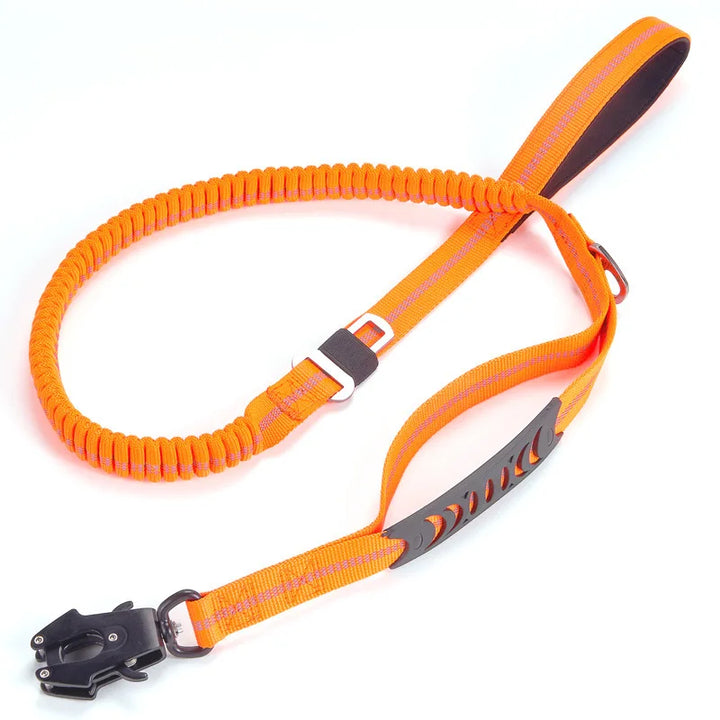 Heavy-duty bungee dog leash with comfortable dual handles, perfect for large dog training & secure walks.