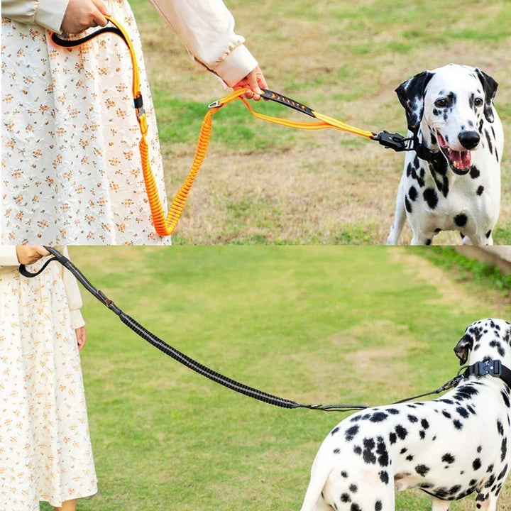 Bungee heavy-duty dog leash, tactical design with dual handles, provides shock absorption for large dogs.